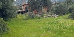 Μονοκατοικία 65 τ.μ. προς ενοικίαση - Photo 3