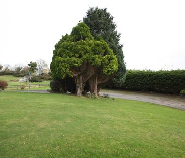 92a Carryduff Road, - Photo 6