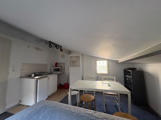 Location Appartement 1 pièce 18m² - Photo 1
