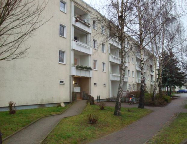 Neuwertige 3- Raumwohnung in Velgast ab 11/2025 frei! - Foto 1