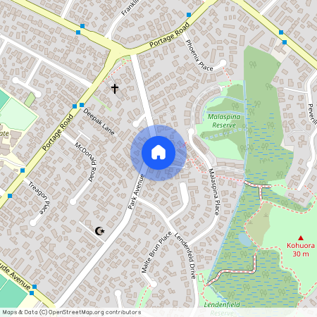 42 Park Avenue, Papatoetoe, Auckland