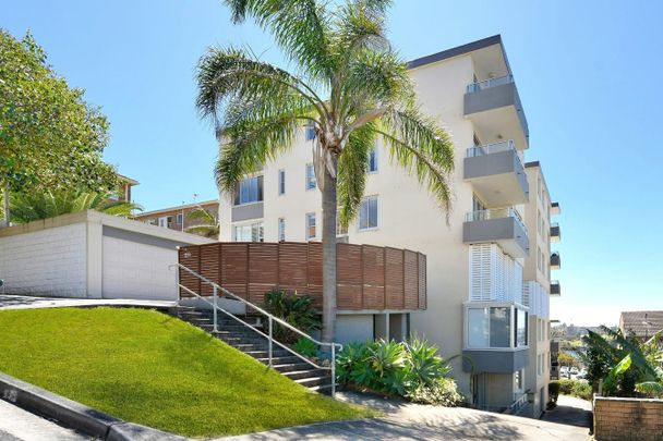 1/251 Oberon Street, Coogee NSW 2034 - Apartment For Rent | Domain - Photo 1