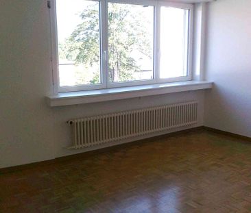 2 Zimmer, 45 m², 2. Stock - Foto 1