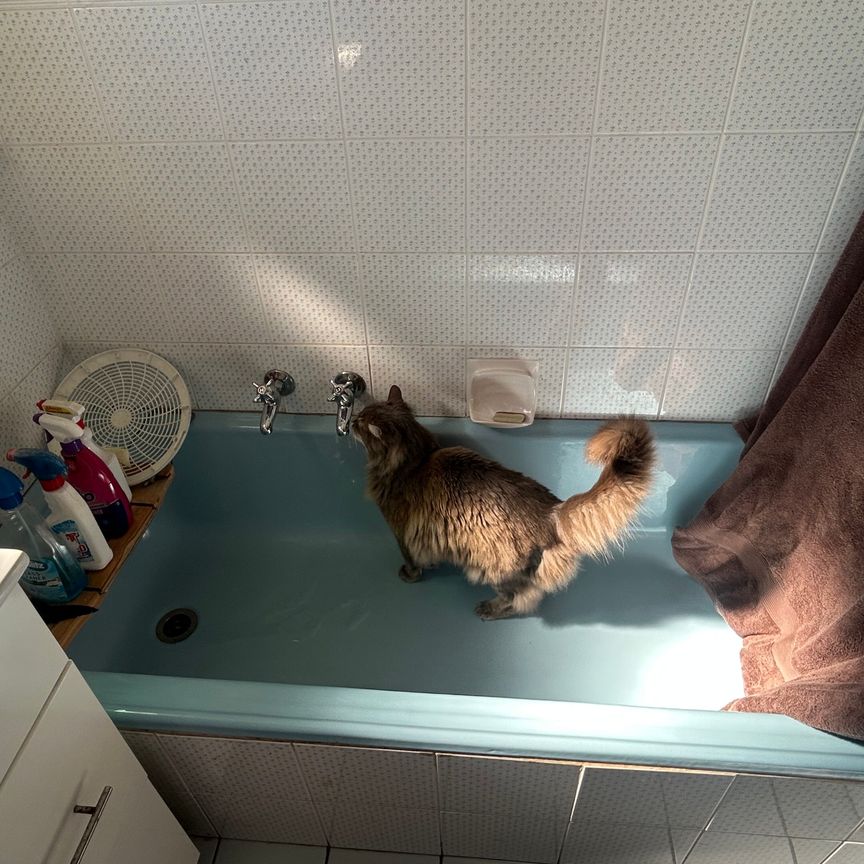 Cheltenham - Photo 1