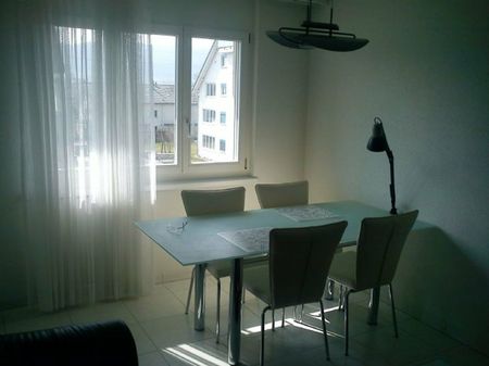 Möblierte 2,5-Zimmer-Wohnung mit eigener Waschküche - Photo 3