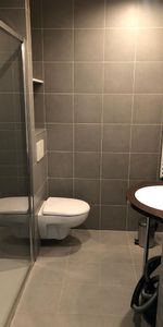 Location Appartement 1 pièce 15m² - Photo 3