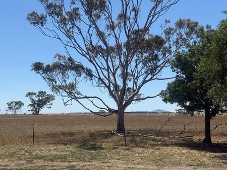 Lovely Banks - Photo 2