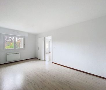 Location Appartement 2 pièces 46m² OBERHAUSBERGEN 67205 - Photo 6