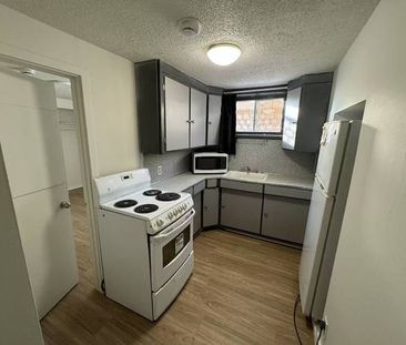 Newly Renovated Downtown 1-bedroom Suit - Photo 2