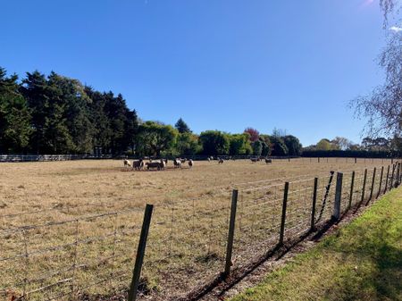 Yaldhurst , 4 bedrooms - Photo 3