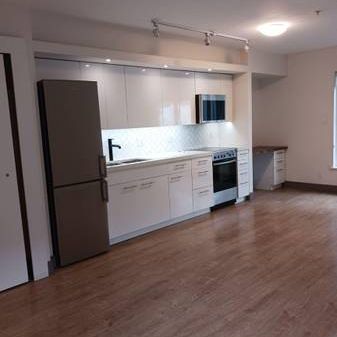 Newly Renovated Studio Apartment - Starting at $1800 - Photo 4