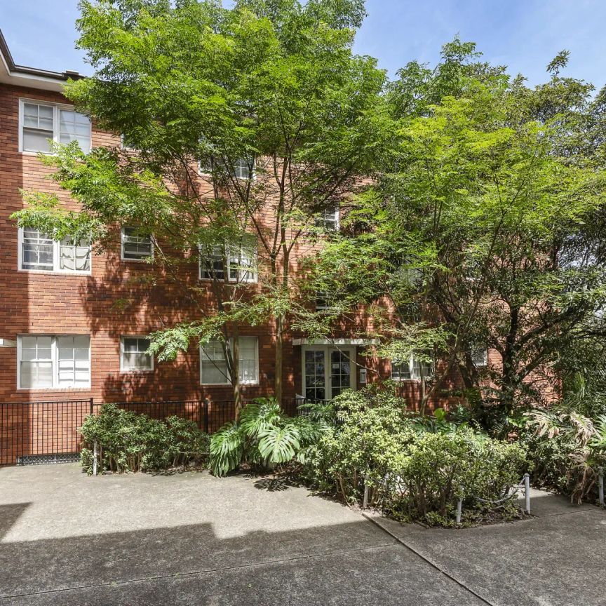 Modern 3 Bedrooms Apartment Living in Prime Arncliffe Location (Access Through 13A Queen St) - Photo 1