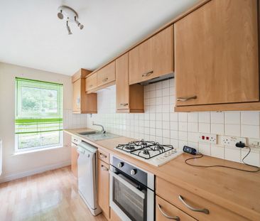 3 bedroom house to rent - Photo 4