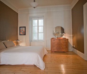 Grand 3 1/2 dans Saint-Jean Baptiste - Photo 4