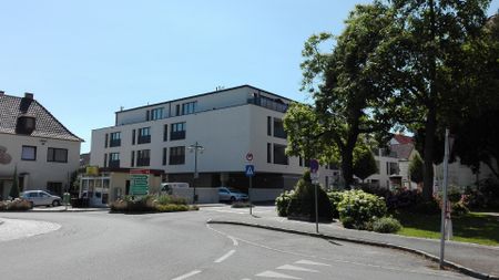 TRAISMAUER IX/1 - BW - Photo 3