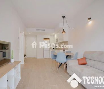 Piso en alquiler en La Torre-Roja-Campreciós-Grup Sant Jordi - Foto 3