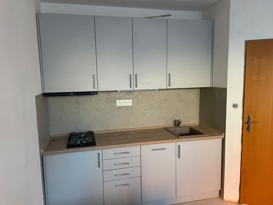 Pronájem bytu 2+kk • 54 m² bez realitkyPechova, Brno - Židenice, Jihomoravský kraj - Photo 1