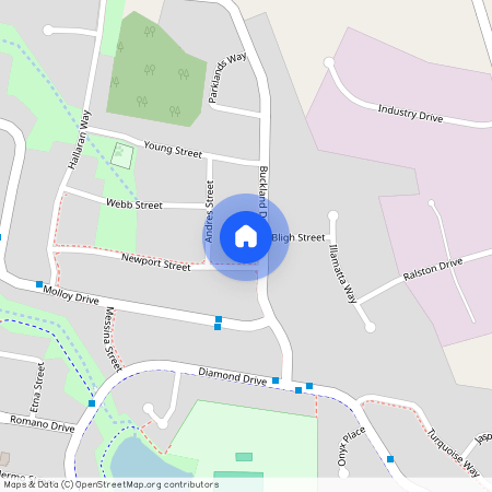 15 Buckland Dr, NSW 2800, Orange