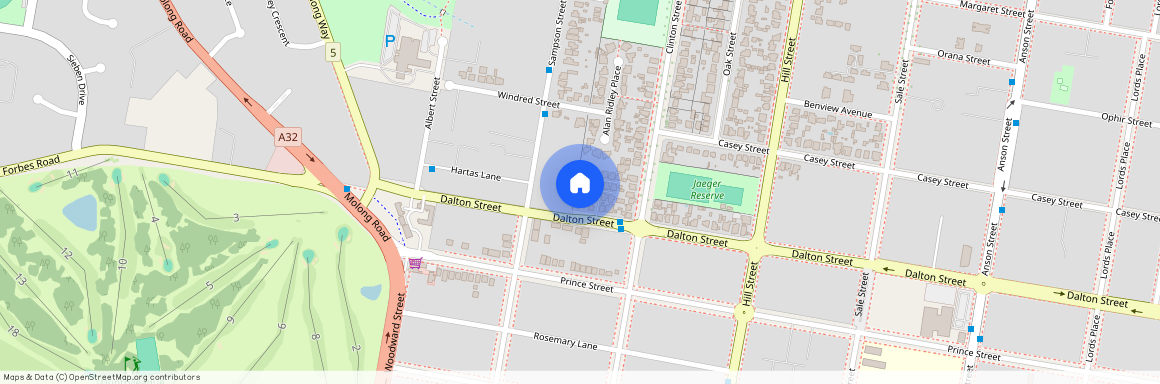 19 Dalton Street, NSW 2800, Orange