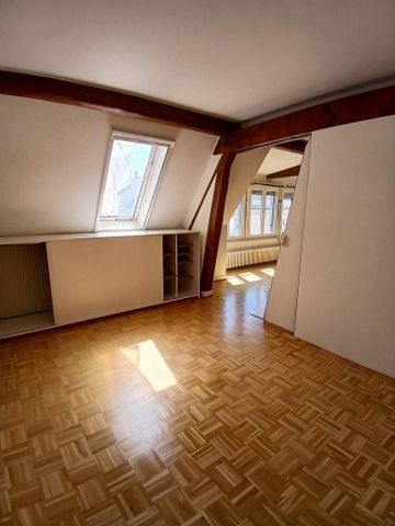 A saisir ! Charmant appartement à louer au coeur de Plainpalais ! - Photo 5