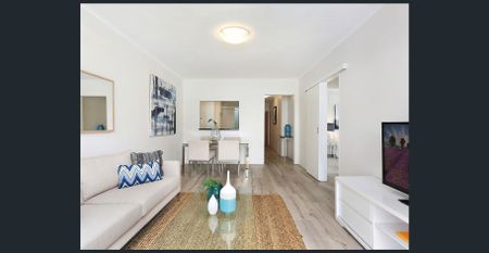 Great Location. Pet Friendly. AMENITIES at your doorstep - Photo 2