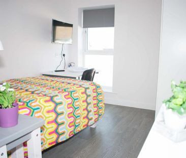 1 bedroom private hall to rent - Photo 2