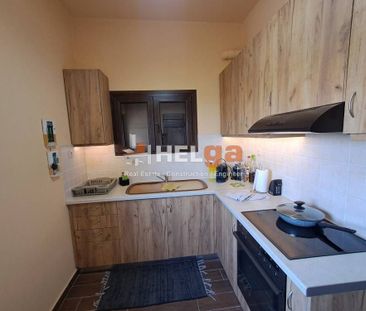 Μονοκατοικία για ενοικίαση Άνω Καστρίτσι (Ρίο) - Photo 3
