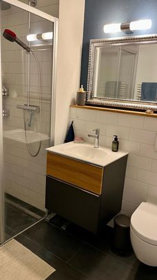 5-ROOM APARTMENT IN SCHAFFHAUSEN, FURNISHED, TEMPORARY - Foto 1