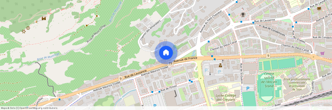 1950, Sitten, Rue De Lausanne, 114