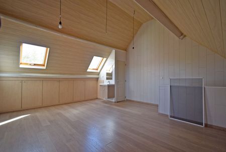 PITTORESK EN RUSTIG GELEGEN RUIME WONING CENTRUM RUMBEKE - Photo 3