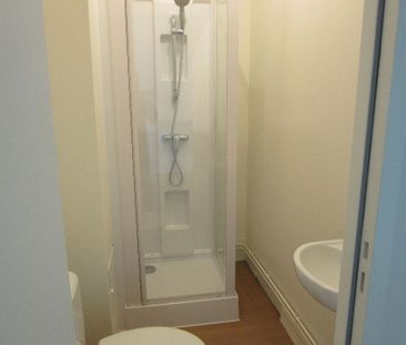 Location Appartement 1 pièce 17m² RENNES 35700 - Photo 2