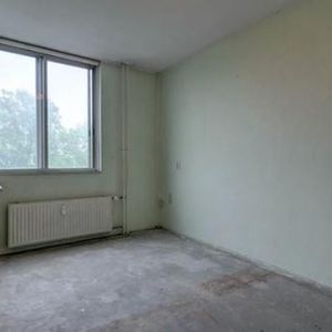 Wethouder Driessenstraat 1107 Amsterdam - Foto 2