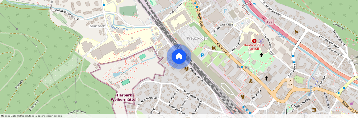 Wiedenhubstr. 45, 4410, Liestal