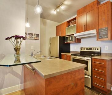 1265 Rue St-Grégoire, app.14, H2G 0A4, H2G 0A4, Montréal - Photo 5