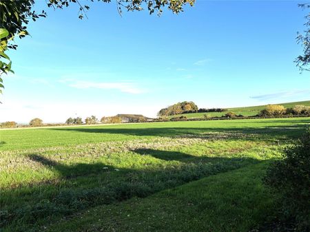 Puckington, Ilminster, Somerset, TA19 - Photo 3