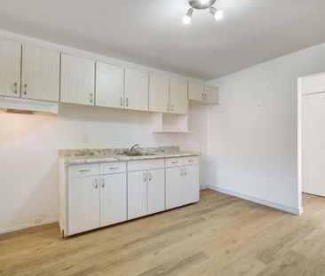 3 1/2 ou 4 1/2 rénovés, Ile-Perrot, Dispo maintenant ! 1100$ ou 1350$ - Photo 3