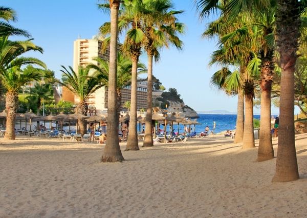 Apartment with direct sea access in Cala Vinyes