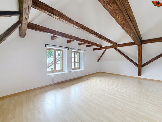 LUMINOUS 3 ½ ROOMS - With a seal in the attic! - Foto 1