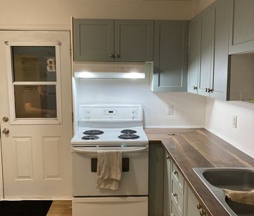 Tout Inclus, 2 Ch + Petit Jardin - Photo 1