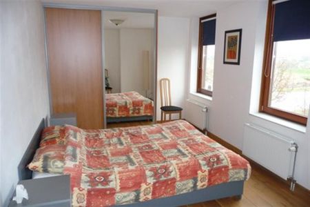 EINDHOVEN, Graspieper - Foto 5