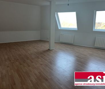 Grand 1 pièce, robertsau - Photo 2