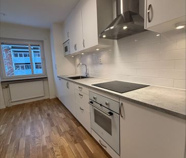 Sandaparken, Umeå - Foto 6