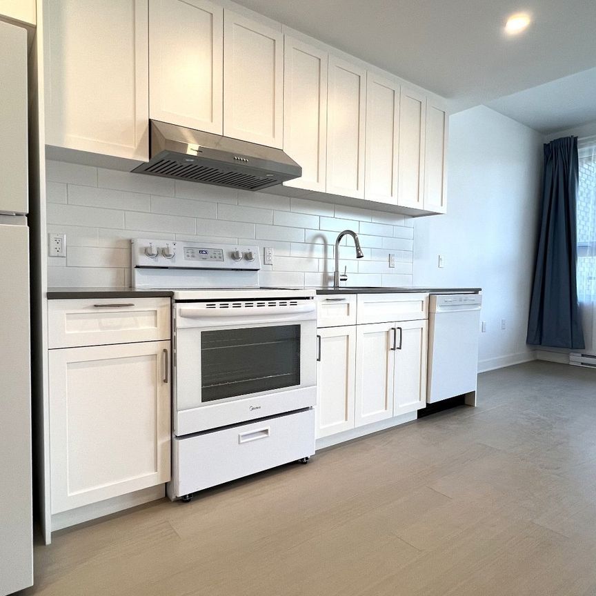 7070 Boul. Newman Montréal (LaSalle), QC H8N - Photo 1