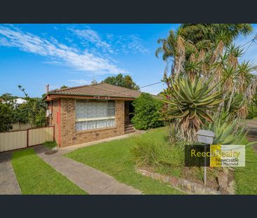 33 Wakool Street, Windale, NSW 2306 - Photo 4