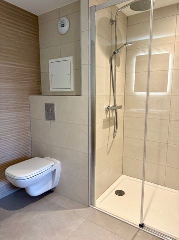 Appartement 2 pièces à Strasbourg - Photo 4