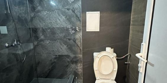 Calea Bucuresti-Garsoniera de inchiriat - Fotografie 3