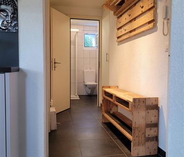 2.5 Zimmer, EG - Photo 3