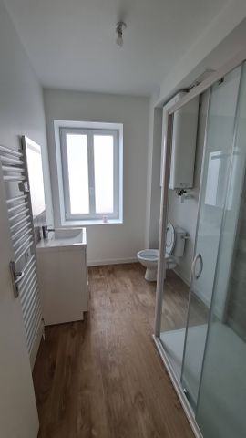 Location Appartement 3 pièces 62m² MARINGUES 63350 - Photo 4
