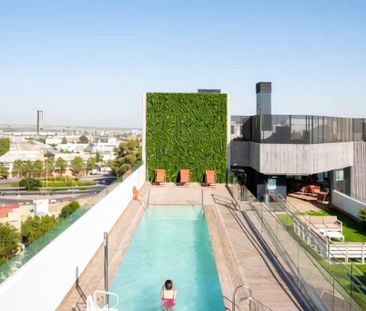 Calle Elche, Sevilla, Andalusia 41013 - Photo 6