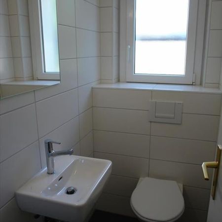 "Bullseye!" - Photo 3